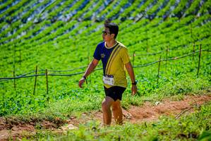 BIB: 1094
                            <button type="button" onclick="openModal(19163803)" class="btn btn-primary btn-sm float-right btn-popup" data-toggle="modal" data-target=".modal-high-quality">
                        <i class="fas fa-shopping-cart"></i> Add to Cart
                    </button>
                                            <button type="button" onclick="isThisMe(19163803, true)" class="btn btn-success btn-sm float-right btn-popup btn-isme hidden" data-toggle="tooltip" data-placement="bottom" title="นี่คือรูปของคุณใช่ไหม คลิกที่นี่เพื่อเอาเข้าอัลบั้ม">
                        <i class="fas fa-plus"></i> Add to album
                    </button>
                    <button type="button" onclick="isThisMe(19163803, false)" class="btn btn-warning btn-sm float-right btn-popup btn-isnotme hidden">
                        <i class="fas fa-ban"></i> Remove from album
                    </button>